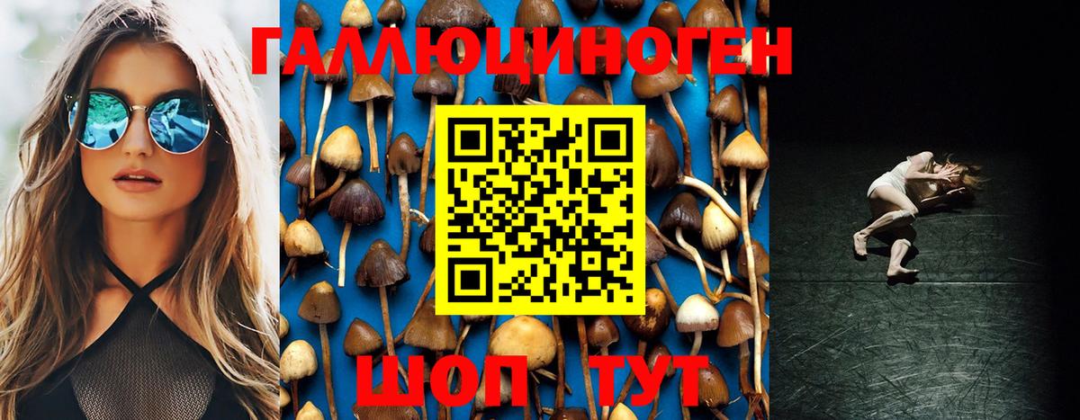 Псилоцибиновые грибы Psilocybe  Псилоцибиновые грибы Magic Shrooms  Вход с VPN  Ижевск 