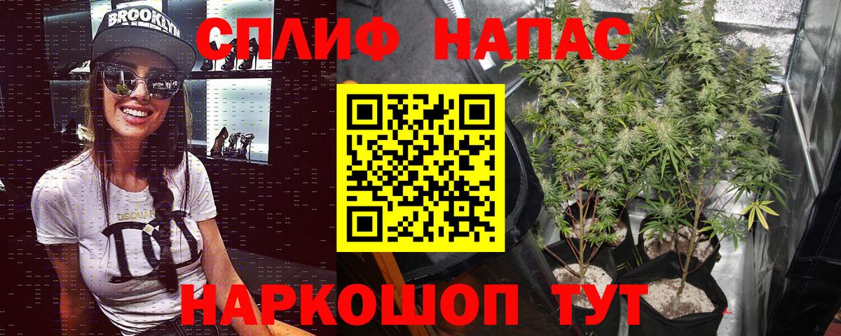 Бошки марихуана Bruce Banner  Канабис AK-47  Ижевск  Вход с VPN  МАРИХУАНА семена 